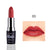 Waterproof Smoke Tube Lipstick Velvet Red Lip