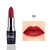 Waterproof Smoke Tube Lipstick Velvet Red Lip